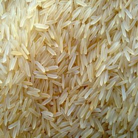 1509 Golden Sella Basmati Rice